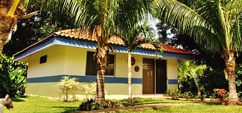 Suite Merlot Suite Merlot